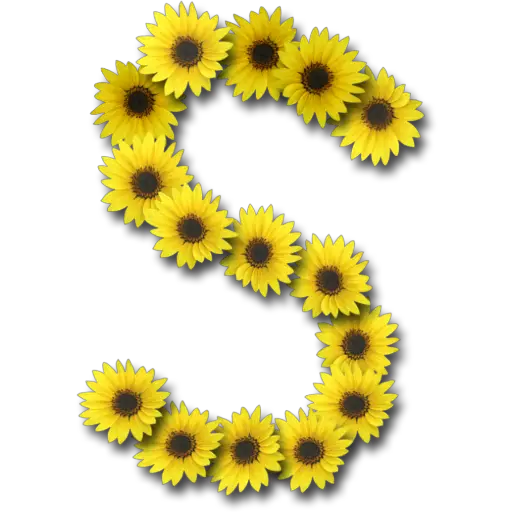 Letras ♡ Girasol 