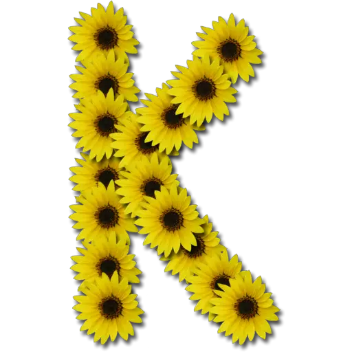 Letras ♡ Girasol 