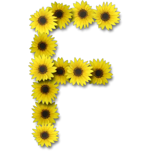 Letras ♡ Girasol 