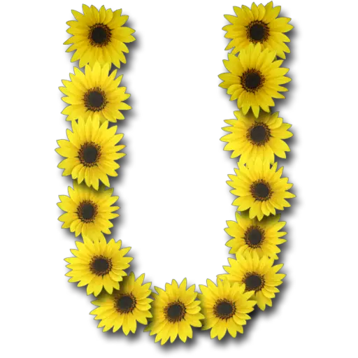 Letras ♡ Girasol  preview