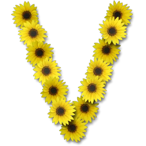 Letras ♡ Girasol 