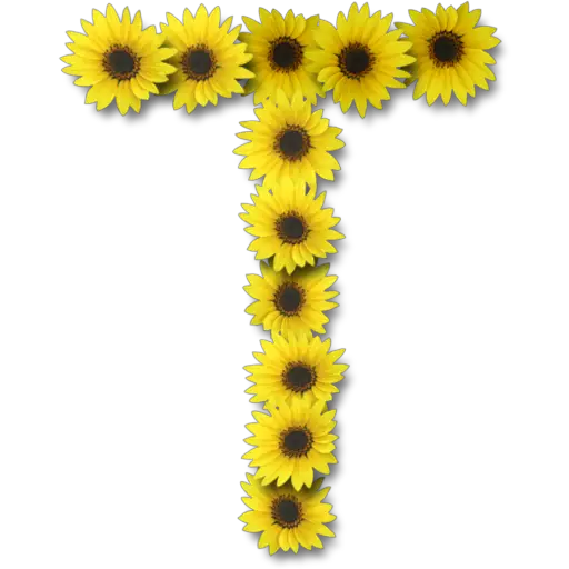Letras ♡ Girasol 