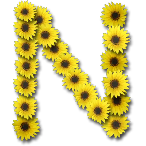 Letras ♡ Girasol 