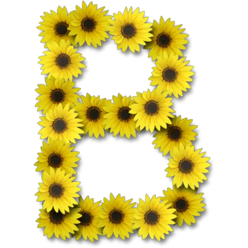 Letras ♡ Girasol 