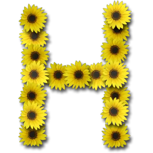 Letras ♡ Girasol 