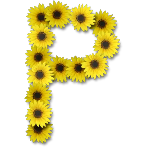 Letras ♡ Girasol 