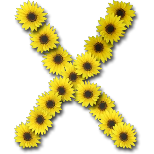 Letras ♡ Girasol 