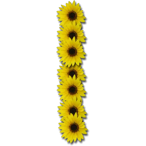 Letras ♡ Girasol 