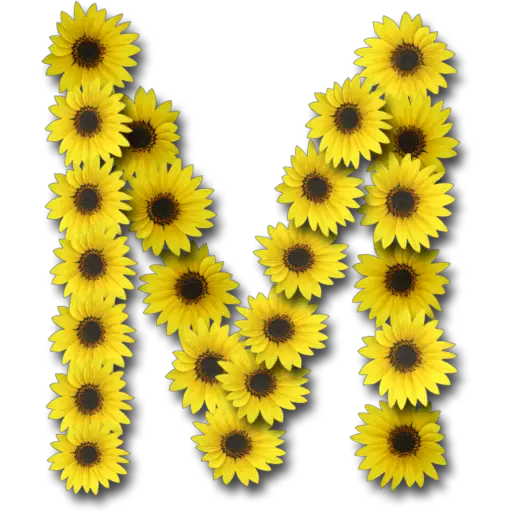 Letras ♡ Girasol 