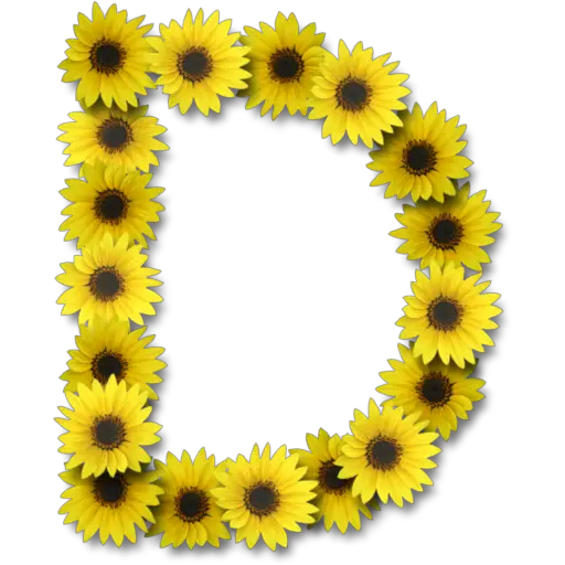 Letras ♡ Girasol 