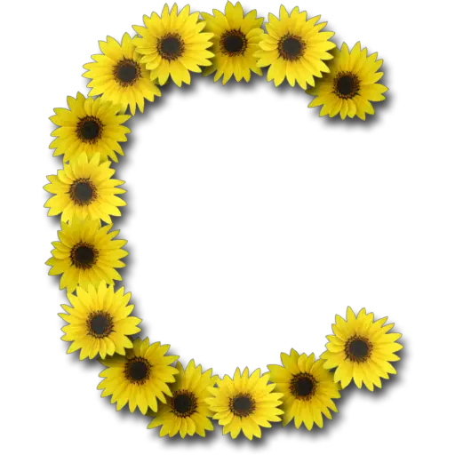Letras ♡ Girasol 