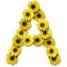 tray-icon