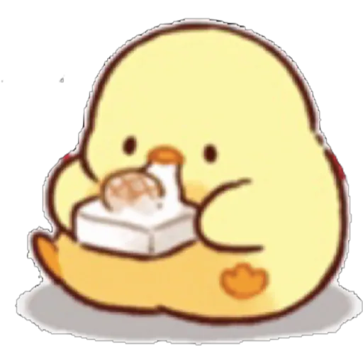 Soft and cute chick winter
