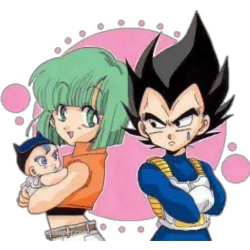 Vegeta y Bulma 