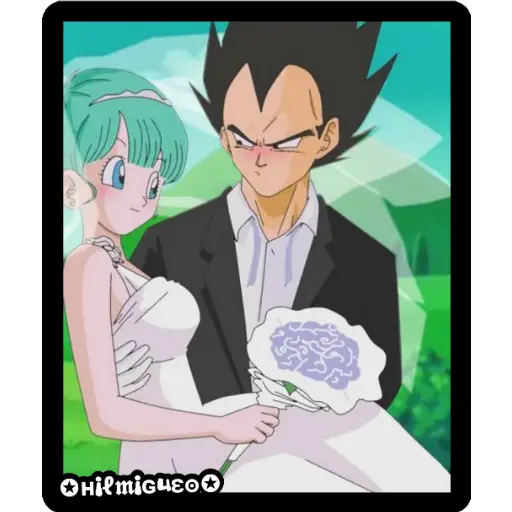 Vegeta y Bulma 