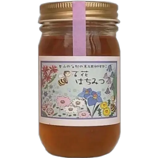 Comida Japonesa  