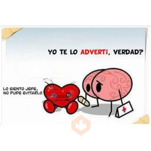 corazón y cerebro 2 sticker 20