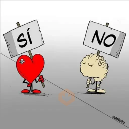 corazón y cerebro 2 sticker 13