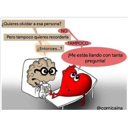 corazón y cerebro 2 sticker 18