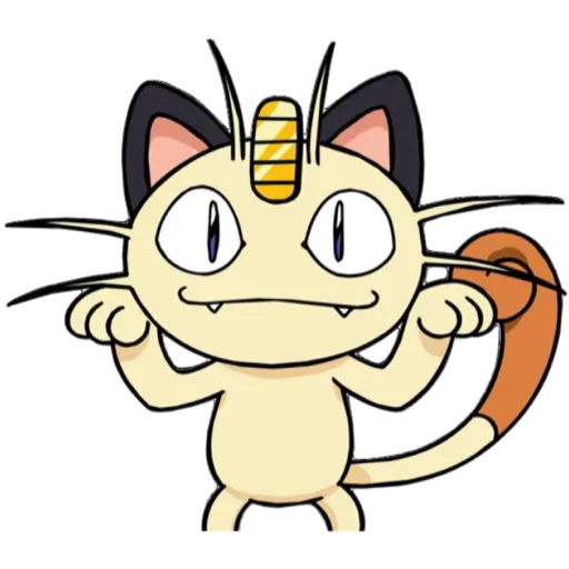Equipo Rocket 🐱