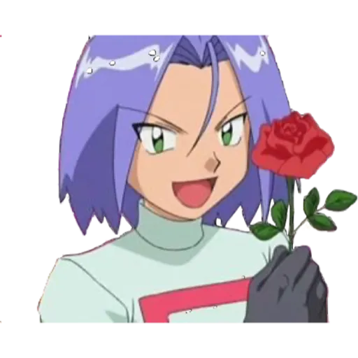 Equipo Rocket 🐱