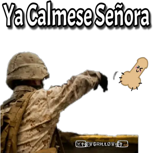 lanzando Pendejadas 🦴 