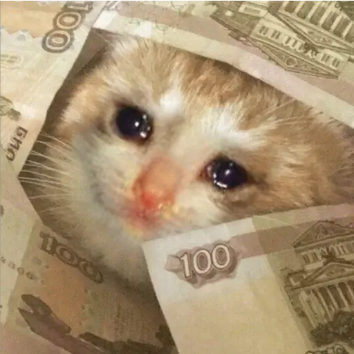 Michis Llorando #1