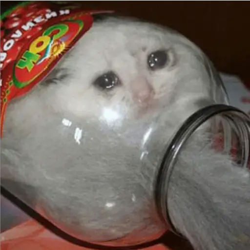 Michis Llorando #1