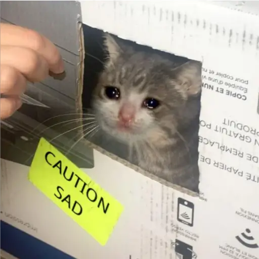 Michis Llorando #1