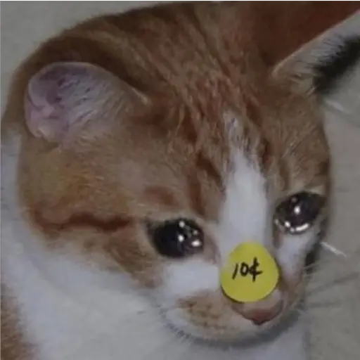 Michis Llorando #1  preview