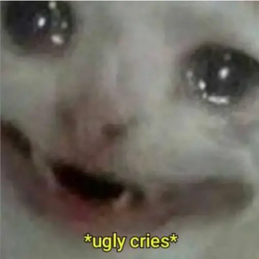 Michis Llorando #1