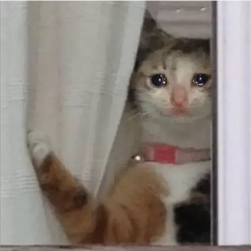 Michis Llorando #1  preview