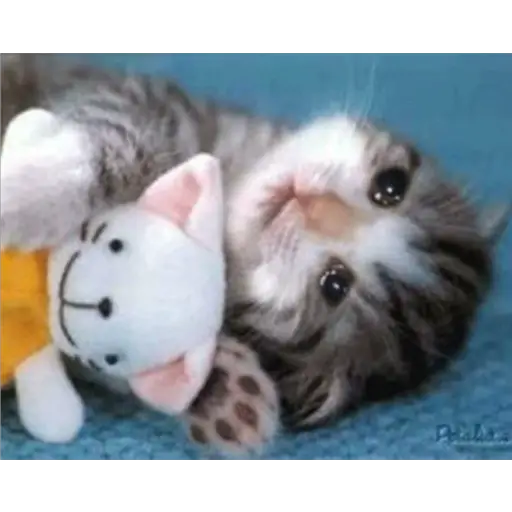 Michis Llorando #2 
