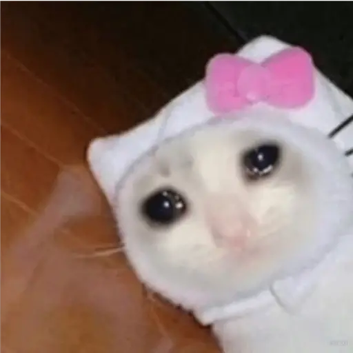 Michis Llorando #2 