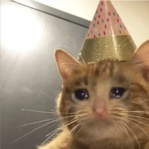 Michis Llorando #2 