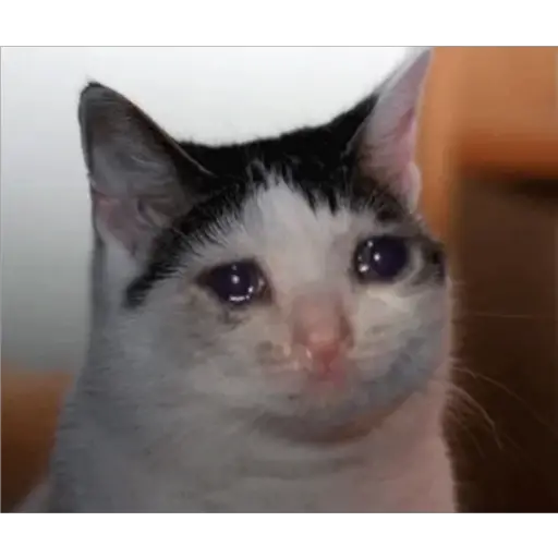 Michis Llorando #2 