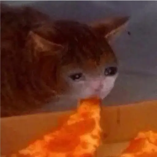 Michis Llorando #2 