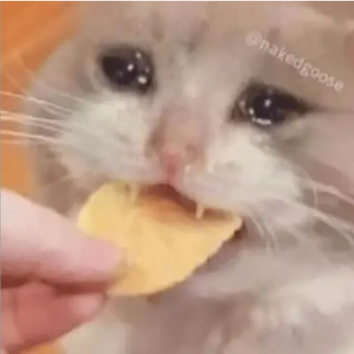Michis Llorando #2 