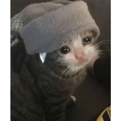 Michis Llorando #2 