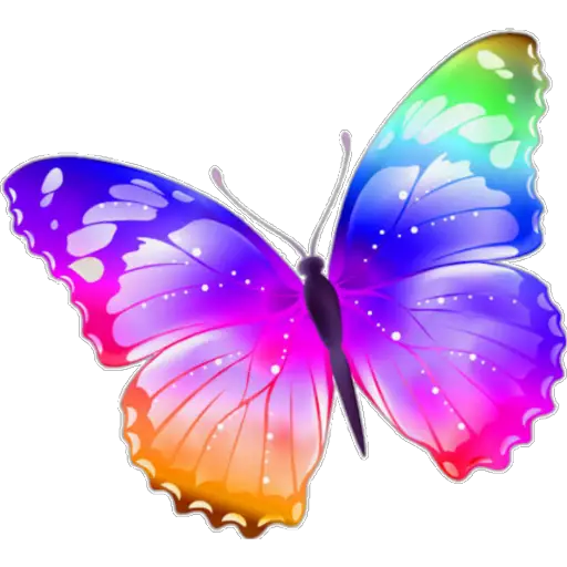 🦋MARIPOSAS BONITAS🦋 