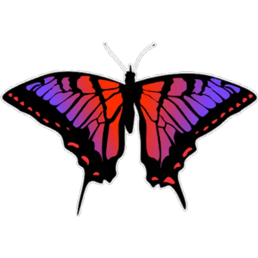 🦋MARIPOSAS BONITAS🦋 