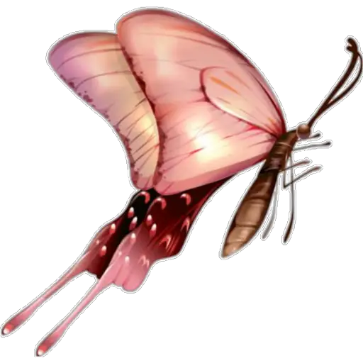 🦋MARIPOSAS BONITAS🦋  preview