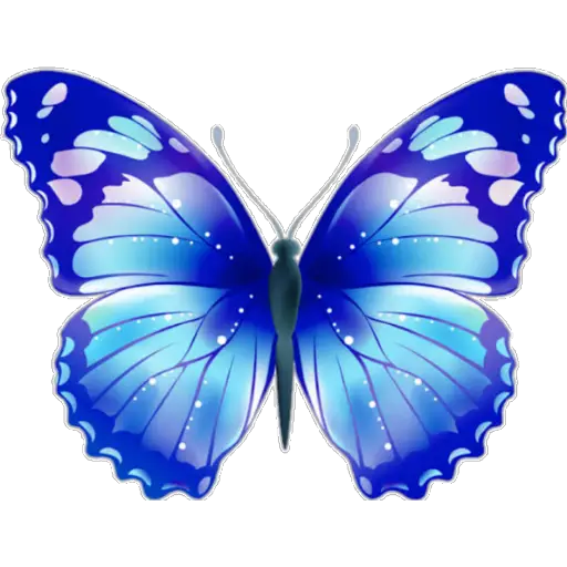 🦋MARIPOSAS BONITAS🦋 