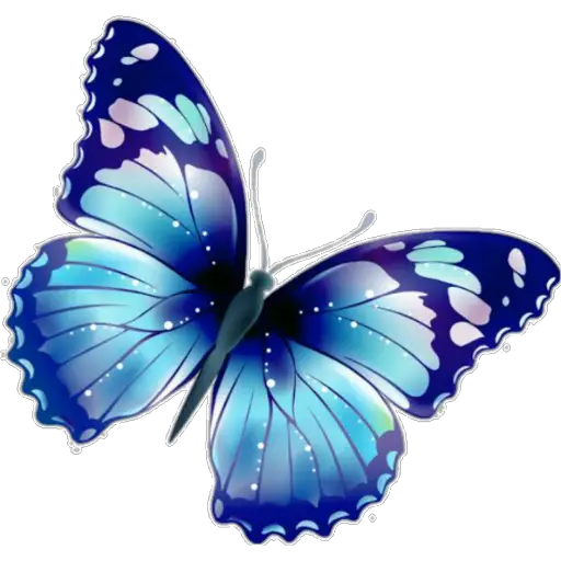 🦋MARIPOSAS BONITAS🦋 