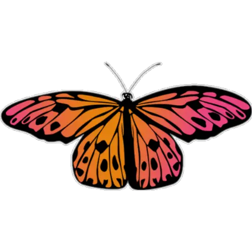 🦋MARIPOSAS BONITAS🦋 