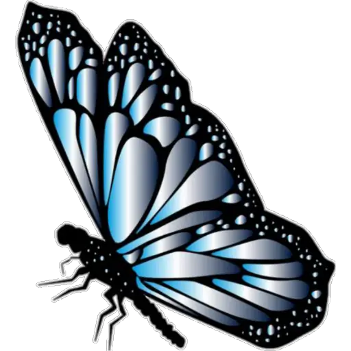 🦋MARIPOSAS BONITAS🦋 