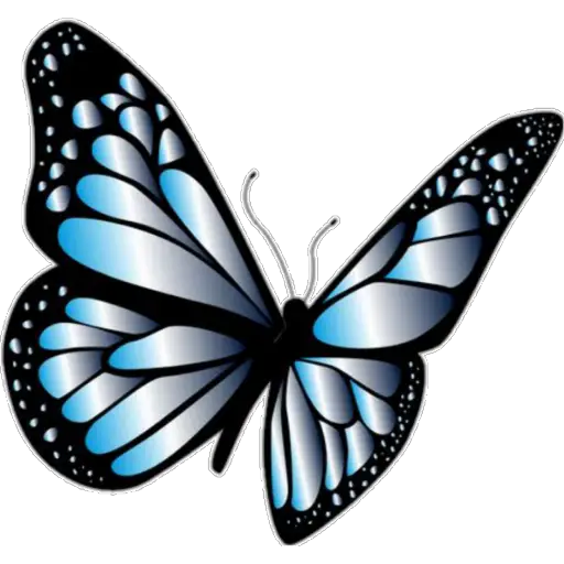 🦋MARIPOSAS BONITAS🦋 