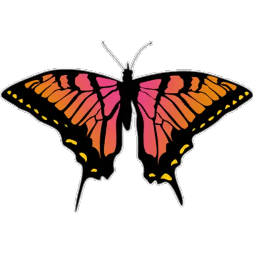 🦋MARIPOSAS BONITAS🦋  preview