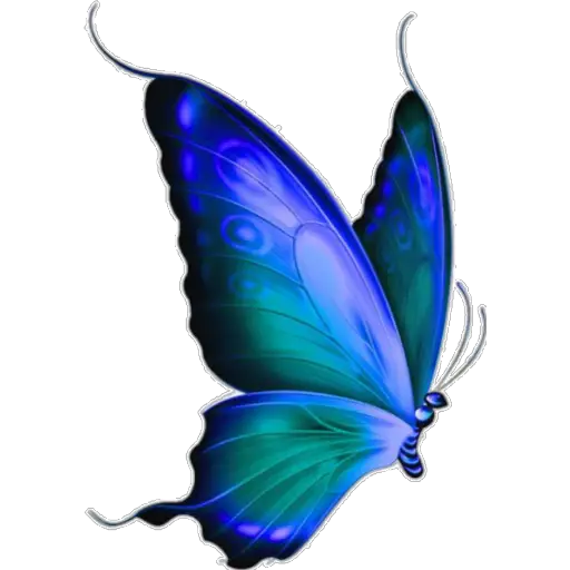 🦋MARIPOSAS BONITAS🦋 
