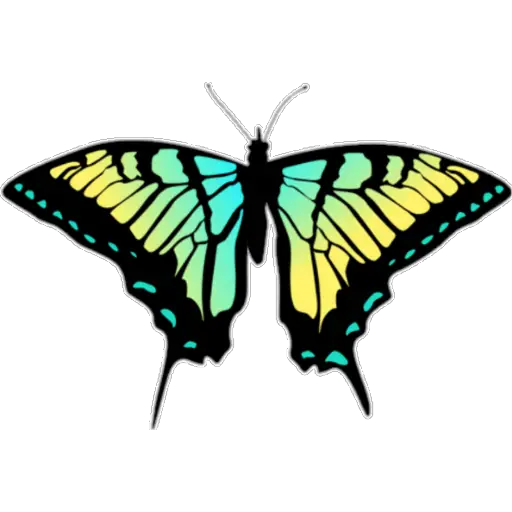 🦋MARIPOSAS BONITAS🦋 